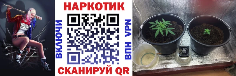 Купить наркотики цена Калининец ГАШИШ Марихуана СОЛЬ Псилоцибиновые грибы Мефедрон