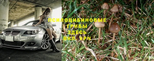 амф Арсеньев