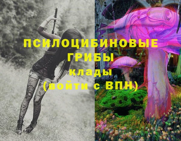 амф Арсеньев