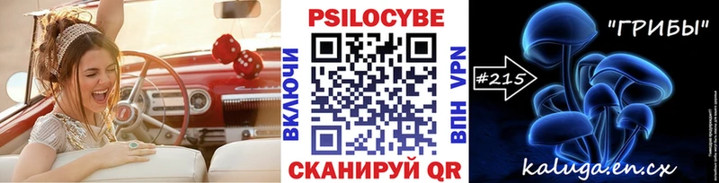 Галлюциногенные грибы MAGIC MUSHROOMS  купить закладку  даркнет какой сайт  Калининец 